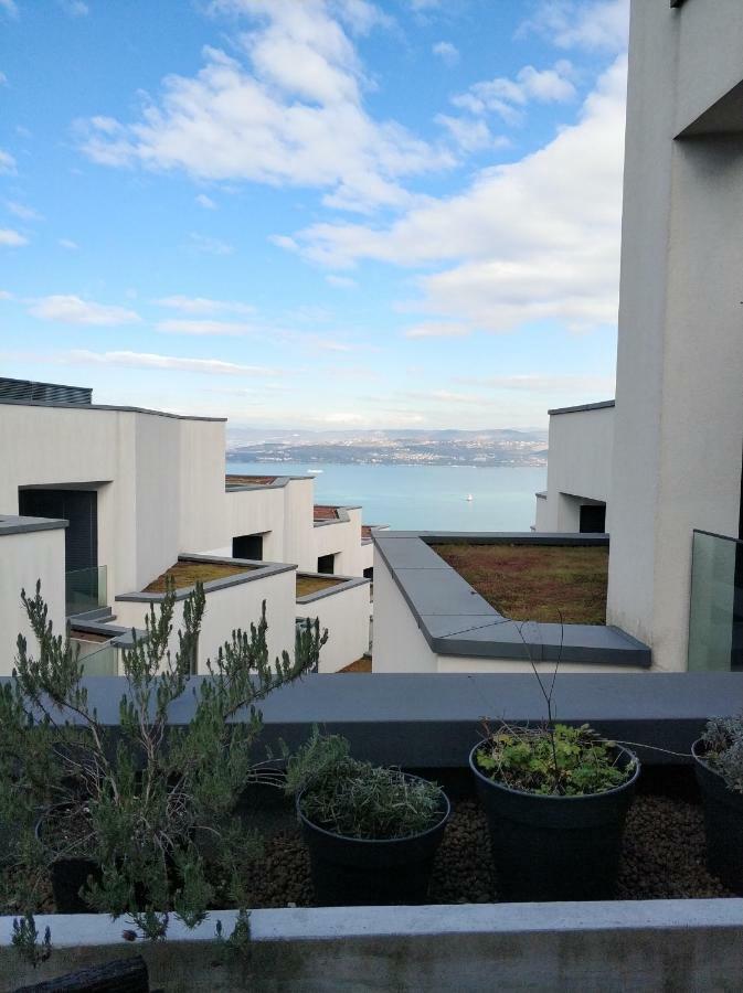 Apartment Morski Cvet 科佩尔 外观 照片